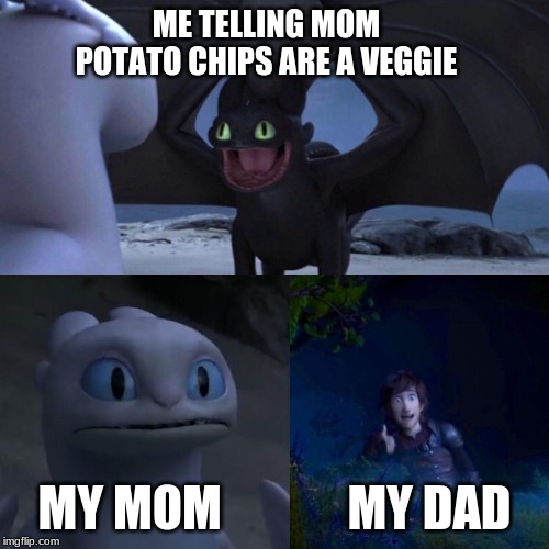 night fury | ME TELLING MOM POTATO CHIPS ARE A VEGGIE; MY MOM             MY DAD | image tagged in night fury | made w/ Imgflip meme maker