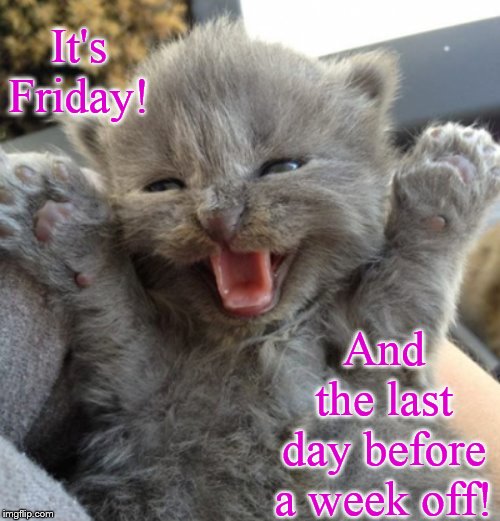 Excited kitten | It's Friday! And the last day before a week off! | image tagged in excited kitten | made w/ Imgflip meme maker