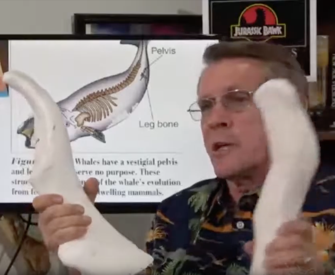 High Quality National Pornographic Kent Hovind Blank Meme Template