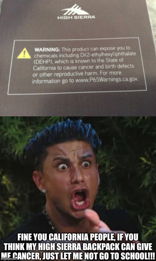 It is “high” sierra after all | FINE YOU CALIFORNIA PEOPLE, IF YOU THINK MY HIGH SIERRA BACKPACK CAN GIVE ME CANCER, JUST LET ME NOT GO TO SCHOOL!!! | image tagged in memes,dj pauly d,school,california causes cancer,i hate california | made w/ Imgflip meme maker