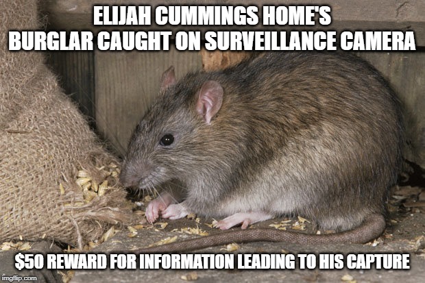 ELIJAH CUMMINGS HOME'S BURGLAR CAUGHT ON SURVEILLANCE CAMERA; $50 REWARD FOR INFORMATION LEADING TO HIS CAPTURE | made w/ Imgflip meme maker