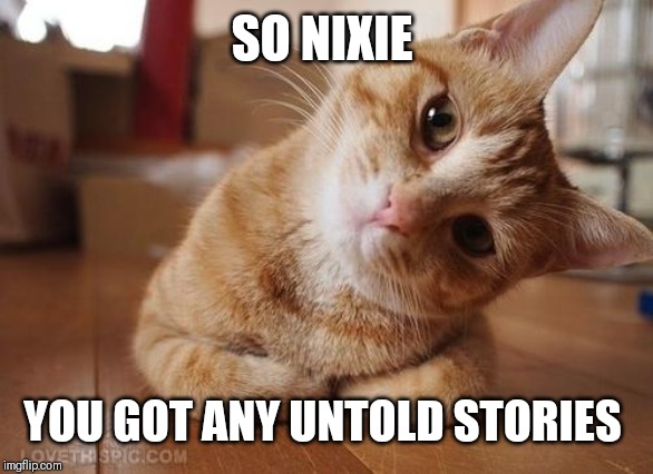 Curious Question Cat | SO NIXIE YOU GOT ANY UNTOLD STORIES | image tagged in curious question cat | made w/ Imgflip meme maker