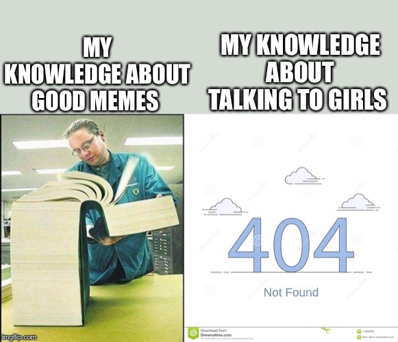 MY KNOWLEDGE ABOUT TALKING TO GIRLS; MY KNOWLEDGE ABOUT GOOD MEMES | image tagged in big book | made w/ Imgflip meme maker
