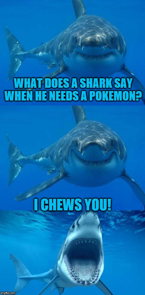 Looks Like it's Shark Week | WHAT DOES A SHARK SAY WHEN HE NEEDS A POKEMON? I CHEWS YOU! | image tagged in bad shark pun,shark week | made w/ Imgflip meme maker