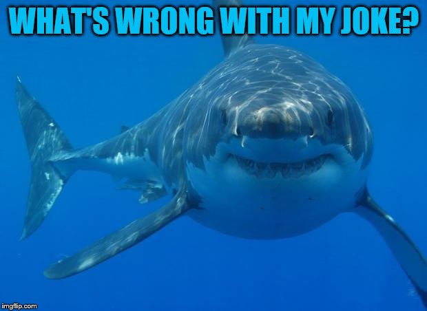 Straight White Shark | WHAT'S WRONG WITH MY JOKE? | image tagged in straight white shark | made w/ Imgflip meme maker
