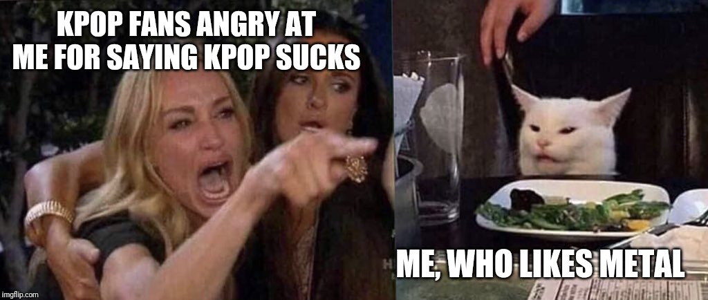 woman yelling at cat | KPOP FANS ANGRY AT ME FOR SAYING KPOP SUCKS; ME, WHO LIKES METAL | image tagged in woman yelling at cat | made w/ Imgflip meme maker