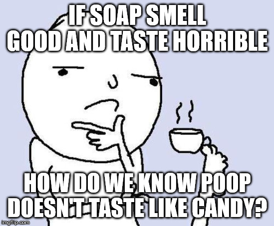 thinking meme | IF SOAP SMELL GOOD AND TASTE HORRIBLE; HOW DO WE KNOW POOP DOESN'T TASTE LIKE CANDY? | image tagged in thinking meme | made w/ Imgflip meme maker