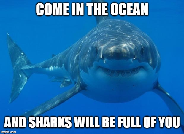 Straight White Shark | COME IN THE OCEAN AND SHARKS WILL BE FULL OF YOU | image tagged in straight white shark | made w/ Imgflip meme maker