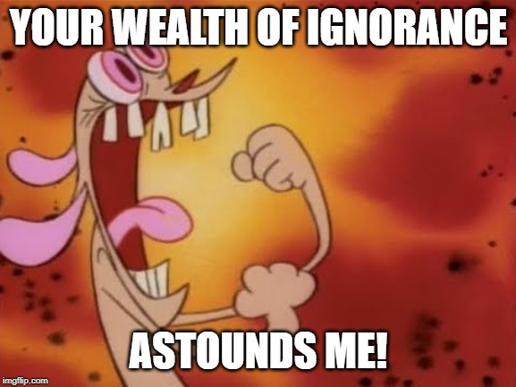 Ren Wealth of Ignorance Astounds Me | YOUR WEALTH OF IGNORANCE; ASTOUNDS ME! | image tagged in ren and stimpy,ignorance,idiot | made w/ Imgflip meme maker