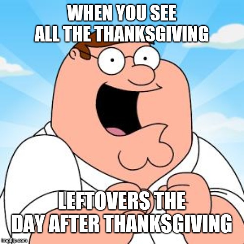family guy | WHEN YOU SEE ALL THE THANKSGIVING; LEFTOVERS THE DAY AFTER THANKSGIVING | image tagged in family guy | made w/ Imgflip meme maker