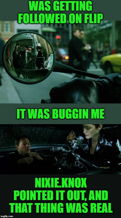 I'm In ;) | WAS GETTING FOLLOWED ON FLIP; IT WAS BUGGIN ME; NIXIE.KNOX POINTED IT OUT, AND THAT THING WAS REAL | image tagged in nixieknox,imgflip users,follow,followers,the matrix,meanwhile on imgflip | made w/ Imgflip meme maker