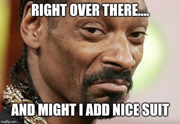 Snoop Dogg Approves | RIGHT OVER THERE.... AND MIGHT I ADD NICE SUIT | image tagged in snoop dogg approves | made w/ Imgflip meme maker