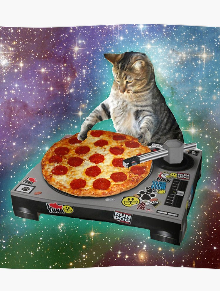 Cat pizza Blank Meme Template