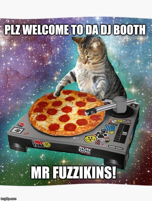 PIZZA CAT DJ | PLZ WELCOME TO DA DJ BOOTH; MR FUZZIKINS! | image tagged in cat pizza | made w/ Imgflip meme maker