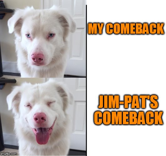 Expanding dog | MY COMEBACK JIM-PAT'S COMEBACK | image tagged in expanding dog | made w/ Imgflip meme maker