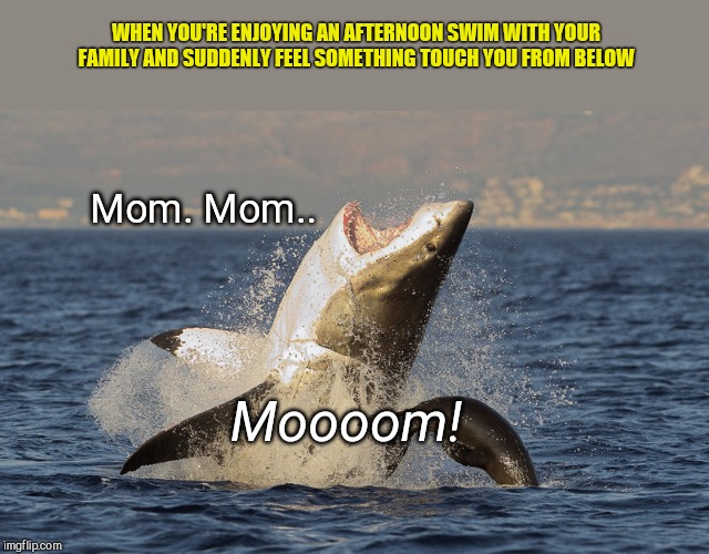That scary moment | WHEN YOU'RE ENJOYING AN AFTERNOON SWIM WITH YOUR FAMILY AND SUDDENLY FEEL SOMETHING TOUCH YOU FROM BELOW; Mom. Mom.. Moooom! | image tagged in shark breaching,shark week,humor | made w/ Imgflip meme maker