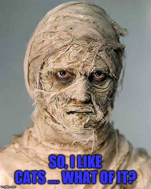 Mummy | SO, I LIKE CATS …. WHAT OF IT? | image tagged in mummy | made w/ Imgflip meme maker