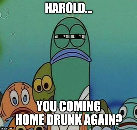 SpongeBob | HAROLD... YOU COMING HOME DRUNK AGAIN? | image tagged in spongebob | made w/ Imgflip meme maker