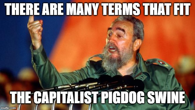 Fidel Castro | THERE ARE MANY TERMS THAT FIT THE CAPITALIST PIGDOG SWINE | image tagged in fidel castro | made w/ Imgflip meme maker
