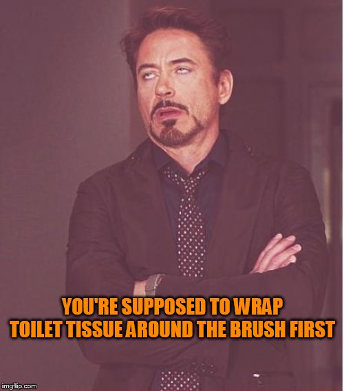 Face You Make Robert Downey Jr Meme | YOU'RE SUPPOSED TO WRAP TOILET TISSUE AROUND THE BRUSH FIRST | image tagged in memes,face you make robert downey jr | made w/ Imgflip meme maker