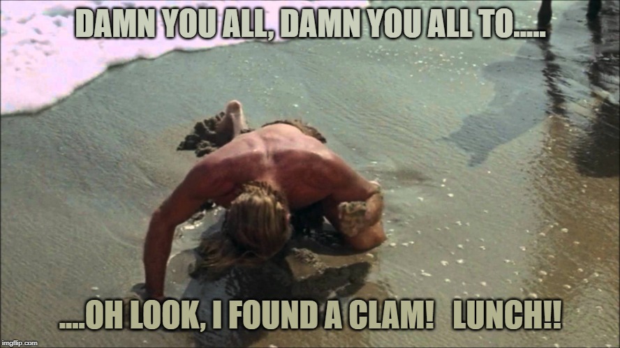 charlton heston damn you all to hell | DAMN YOU ALL, DAMN YOU ALL TO..... ....OH LOOK, I FOUND A CLAM!   LUNCH!! | image tagged in charlton heston damn you all to hell | made w/ Imgflip meme maker