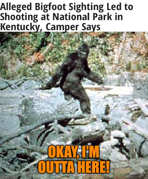 Bigfoot | OKAY, I'M OUTTA HERE! | image tagged in bigfoot | made w/ Imgflip meme maker