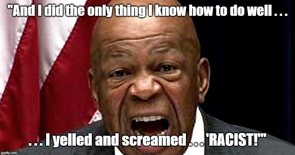 Elijah Cummings confronts the rat burglar | "And I did the only thing I know how to do well . . . . . . I yelled and screamed . . . 'RACIST!'" | image tagged in elijah cummings | made w/ Imgflip meme maker