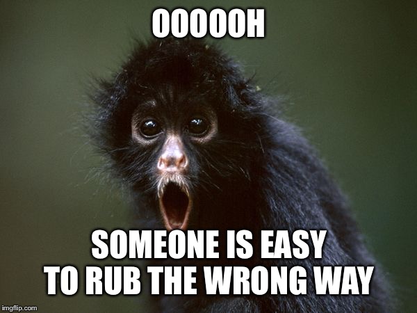 ooooh | OOOOOH SOMEONE IS EASY TO RUB THE WRONG WAY | image tagged in ooooh | made w/ Imgflip meme maker