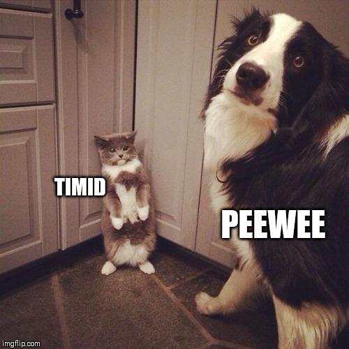 TIMID PEEWEE | made w/ Imgflip meme maker