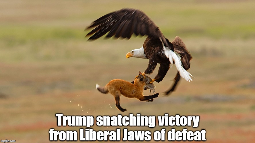 Trump winning again | Trump snatching victory from Liberal Jaws of defeat | image tagged in donald trump,liberals,eagle,fox,democrats | made w/ Imgflip meme maker