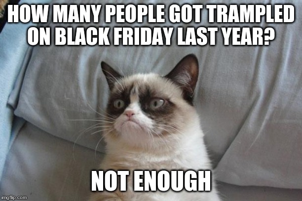 Friday, November 29, 2019 | HOW MANY PEOPLE GOT TRAMPLED ON BLACK FRIDAY LAST YEAR? NOT ENOUGH | image tagged in memes,grumpy cat bed,grumpy cat | made w/ Imgflip meme maker