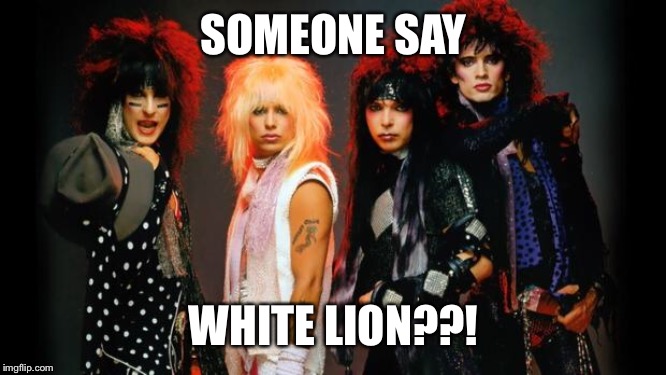 hair bands | SOMEONE SAY WHITE LION??! | image tagged in hair bands | made w/ Imgflip meme maker
