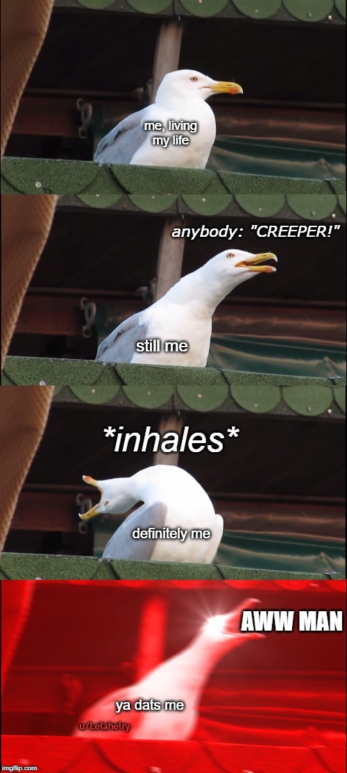Inhaling Seagull Meme | me, living my life; anybody: "CREEPER!"; still me; *inhales*; definitely me; AWW MAN; u/Lelahelry; ya dats me | image tagged in memes,inhaling seagull | made w/ Imgflip meme maker