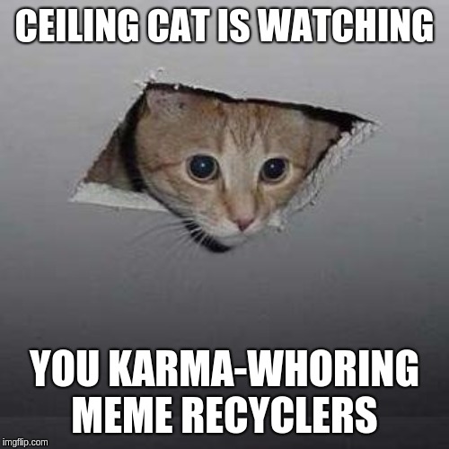 Ceiling Cat Meme | CEILING CAT IS WATCHING; YOU KARMA-WHORING MEME RECYCLERS | image tagged in memes,ceiling cat | made w/ Imgflip meme maker