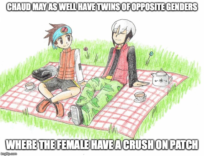 Tea for Two | CHAUD MAY AS WELL HAVE TWINS OF OPPOSITE GENDERS; WHERE THE FEMALE HAVE A CRUSH ON PATCH | image tagged in lan hikari,eugene chaud,memes,megaman,megaman nt warrior | made w/ Imgflip meme maker