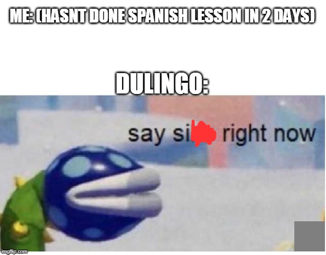 say sike right now | DULINGO:; ME: (HASNT DONE SPANISH LESSON IN 2 DAYS) | image tagged in say sike right now | made w/ Imgflip meme maker