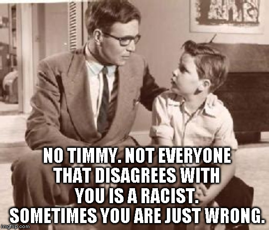 The talk we all wish some Dad's had with todays demotards | NO TIMMY. NOT EVERYONE THAT DISAGREES WITH YOU IS A RACIST. SOMETIMES YOU ARE JUST WRONG. | image tagged in demotards,racist | made w/ Imgflip meme maker