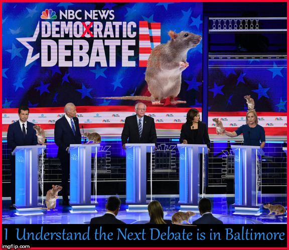Debate of the Demo-Rats | image tagged in baltimore,rats,democrats,democrat debate,lol so funny,political meme | made w/ Imgflip meme maker