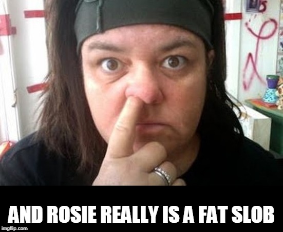 Rosie O'Donnell | AND ROSIE REALLY IS A FAT SLOB | image tagged in rosie o'donnell | made w/ Imgflip meme maker