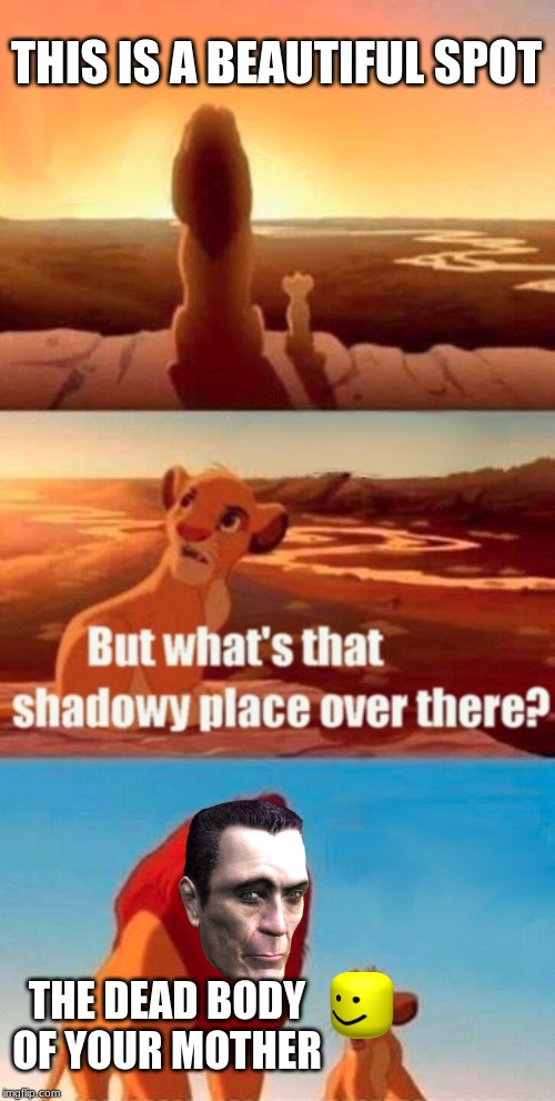 Simba Shadowy Place Meme | THIS IS A BEAUTIFUL SPOT; THE DEAD BODY OF YOUR MOTHER | image tagged in memes,simba shadowy place | made w/ Imgflip meme maker