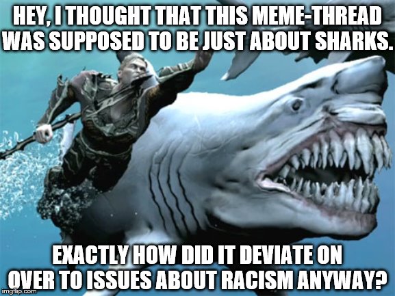 aquaman sharks | HEY, I THOUGHT THAT THIS MEME-THREAD WAS SUPPOSED TO BE JUST ABOUT SHARKS. EXACTLY HOW DID IT DEVIATE ON OVER TO ISSUES ABOUT RACISM ANYWAY? | image tagged in aquaman sharks | made w/ Imgflip meme maker