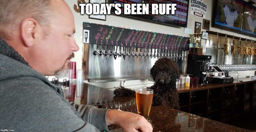 TODAY'S BEEN RUFF | image tagged in funny memes | made w/ Imgflip meme maker