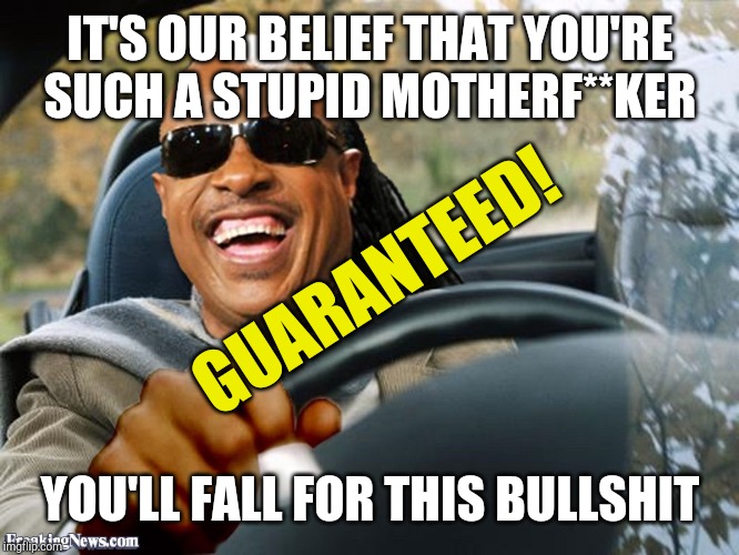 Stevie Wonder Driving | IT'S OUR BELIEF THAT YOU'RE SUCH A STUPID MOTHERF**KER YOU'LL FALL FOR THIS BULLSHIT GUARANTEED! | image tagged in stevie wonder driving | made w/ Imgflip meme maker
