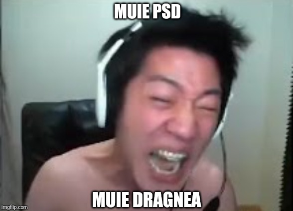 Angry Korean Gamer în România | MUIE PSD; MUIE DRAGNEA | image tagged in memes,funny,angry korean gamer,muie psd,romania | made w/ Imgflip meme maker