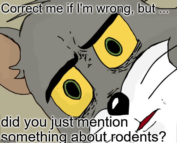 Unsettled Tom | Correct me if I'm wrong, but ... did you just mention something about rodents? | image tagged in memes,unsettled tom | made w/ Imgflip meme maker