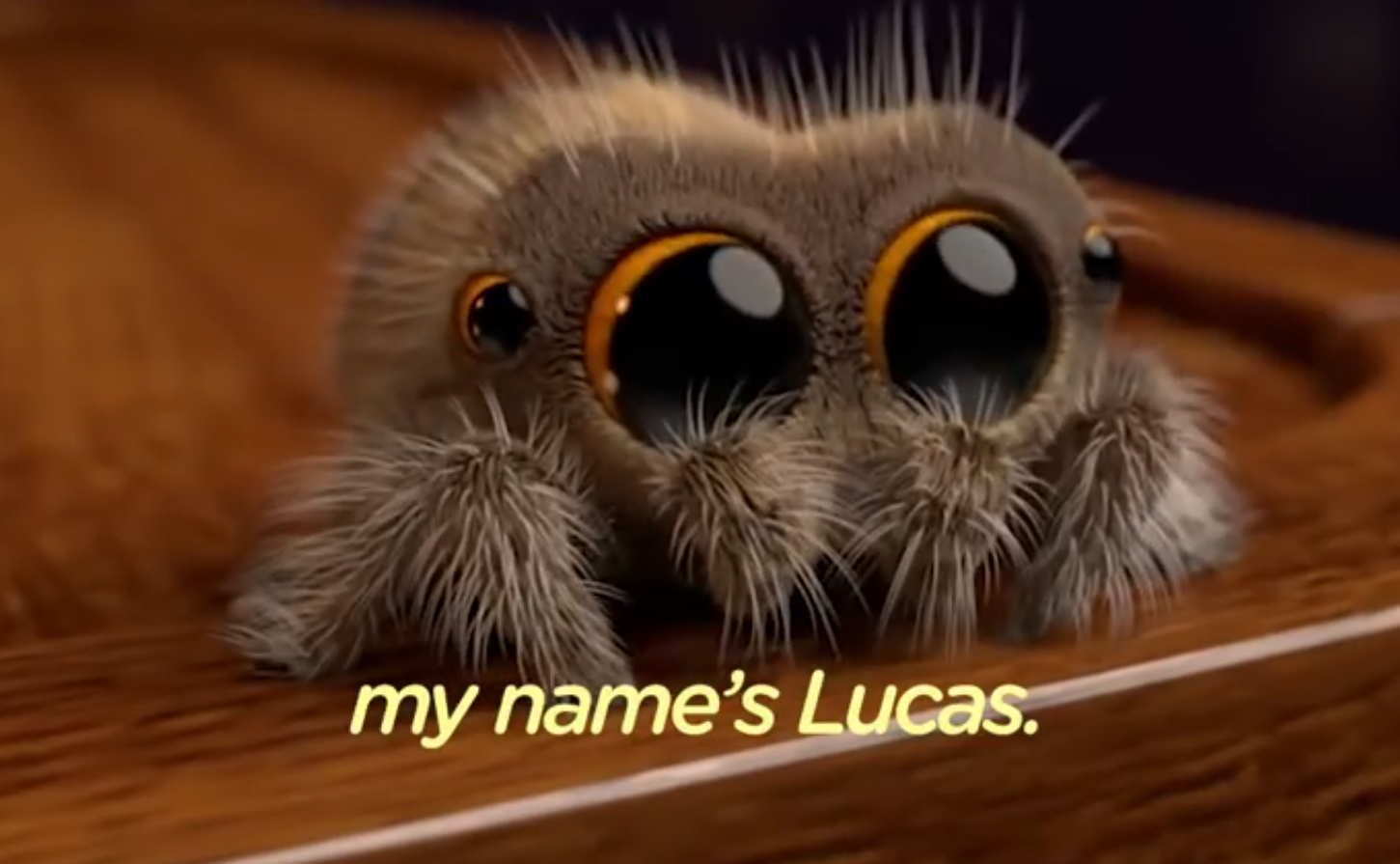 Lucas the cutest spider Blank Meme Template