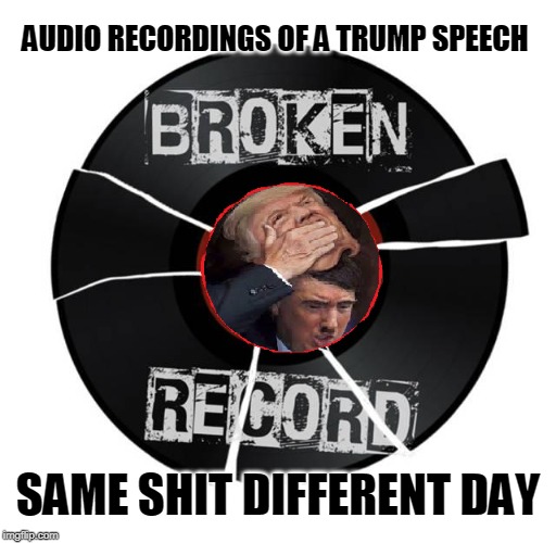 Trump Speech | AUDIO RECORDINGS OF A TRUMP SPEECH; SAME SHIT DIFFERENT DAY | image tagged in trump,hitler,broken record,speech | made w/ Imgflip meme maker