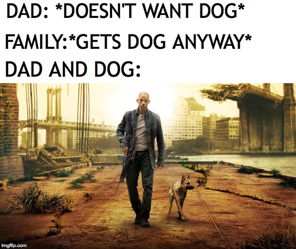 Dog and dad | DAD: *DOESN'T WANT DOG*; FAMILY:*GETS DOG ANYWAY*; DAD AND DOG: | image tagged in dad and dog,funny,memes | made w/ Imgflip meme maker