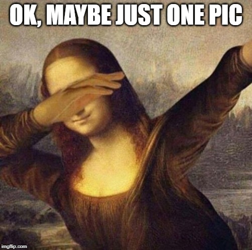 mona lisa what. | OK, MAYBE JUST ONE PIC | image tagged in mona lisa what | made w/ Imgflip meme maker