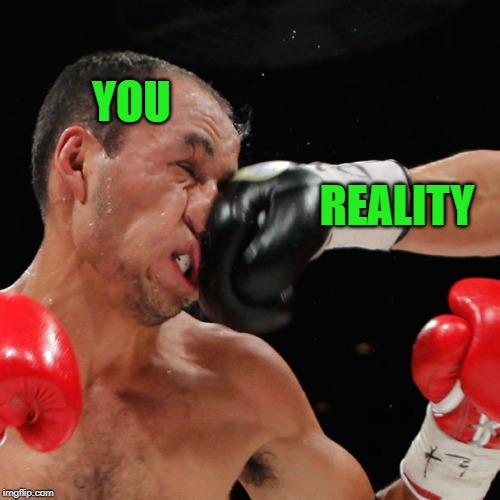 Boxer Getting Punched In The Face | YOU REALITY | image tagged in boxer getting punched in the face | made w/ Imgflip meme maker